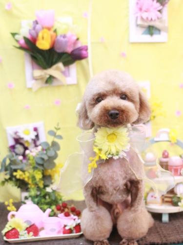 20230316くぅくん